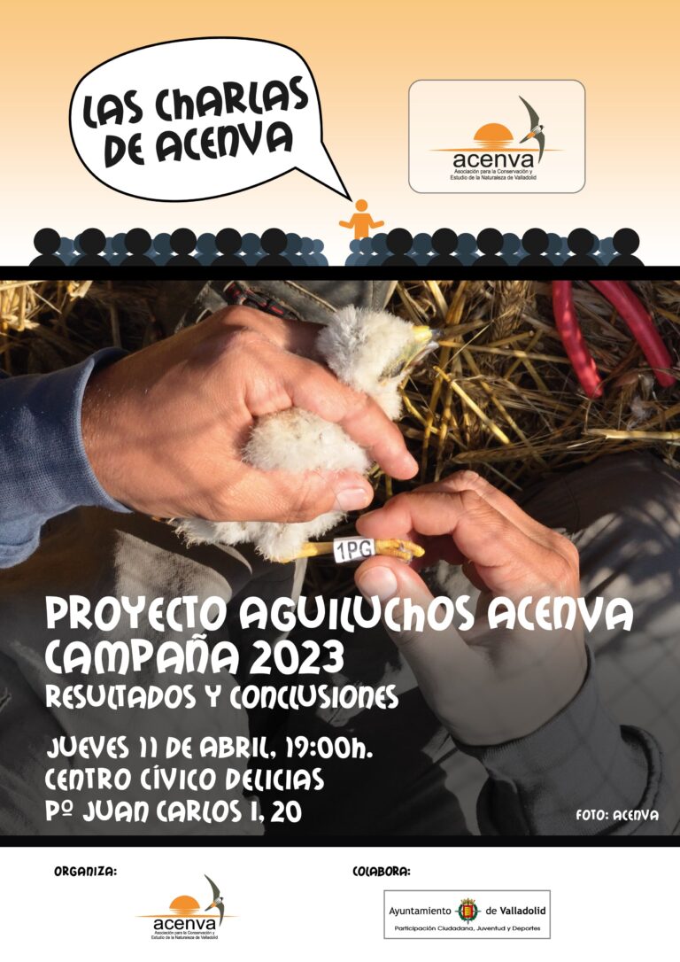 CHARLA "PROYECTO AGUILUCHOS ACENVA, CAMPAÑA 2023 " RESULTADOS Y CONCLUSIONES.