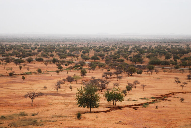 Paisaje del Sahel en África